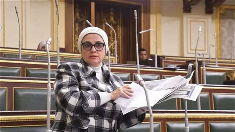 النائبة سميرة الجزار