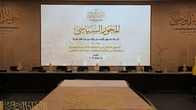 أحمد راغب: حقوق الإنسان مصلحة قومية.. وحرية الصحافة تجذب الاستثمار