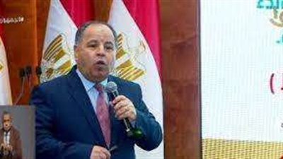 معيط: الاقتصاد المصري يمتلك القدرة على جذب الاستثمارات الأجنبية