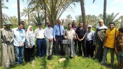 زراعة الشرقية تنظم يوم تدريب حقلي لمكافحة سوسة النخيل