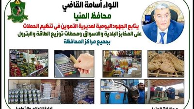 حملات مستمرة على الأسواق لمتابعة الأسعار بالمنيا