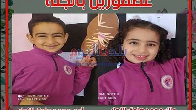 مصرع طفلين غرقا فى مياه المصرف بالمحلة