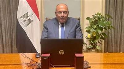 وزير الخارجية: نعمل مع شركائنا من أجل وقف القتال في السودان