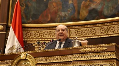 اليوم.. مجلس الشيوخ يستأنف مناقشات تفعيل دور التعاونيات في مصر