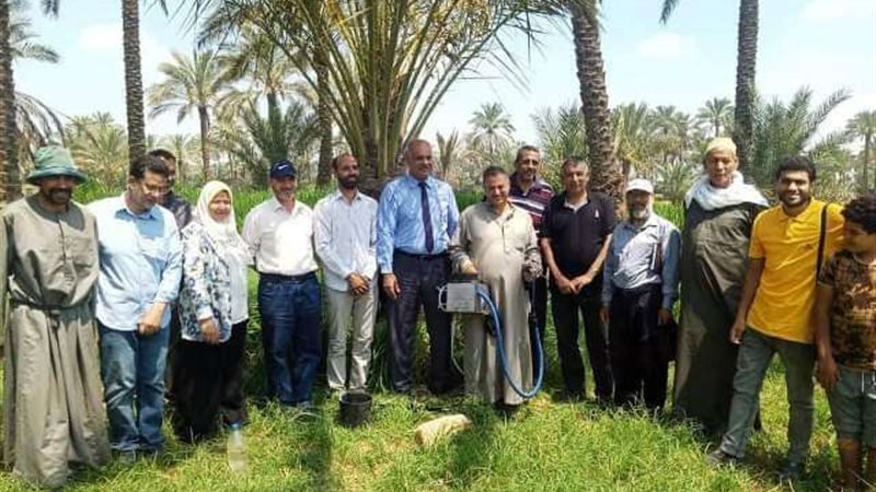 زراعة الشرقية