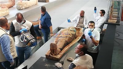 آثار أسوان تكشف حقيقة تعرض أبو سمبل لضرر نتيجة الهزة الأرضية