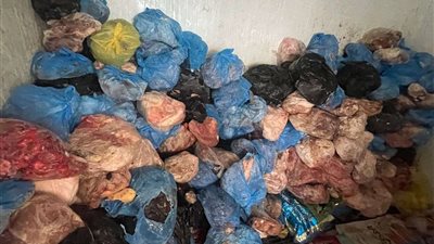 تموين الإسماعيلية تضبط 400 كيلو جرام من اللحوم والدهون الفاسدة بإحدى الثلاجات