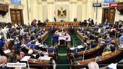 أستاذ قانون دستوري: يجب زيادة عدد أعضاء مجلس النواب ليتناسب مع عدد السكان