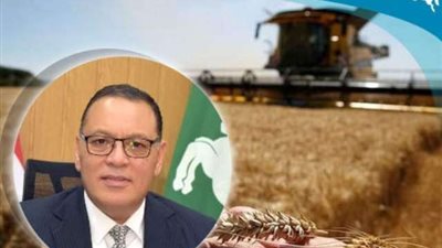 صوامع وشون محافظة الشرقية تفتح أبوابها لإستقبال ٦٥٣ طن و ٥٩٤ كيلو من الذهب الأصفر