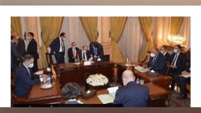 بمشاركة مصرية.. بيان رباعي يؤكد أهمية الحفاظ على حل الدولتين لتحقيق السلام