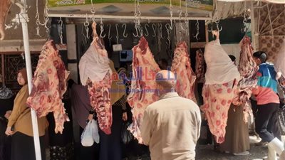 ضبط لحوم مذبوحة خارج المجزر وأدوية مجهولة المصدر في حملة لحماية المستهلك ببني سويف