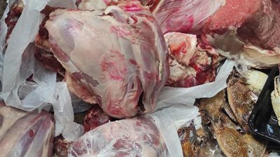 ضبط 1200 كيلو دواجن منتهية الصلاحية بالمنوفية