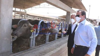 خلال شهر.. زراعة المنوفية توافق علي ترخيص 54 مزرعة دواجن و52 للماشية