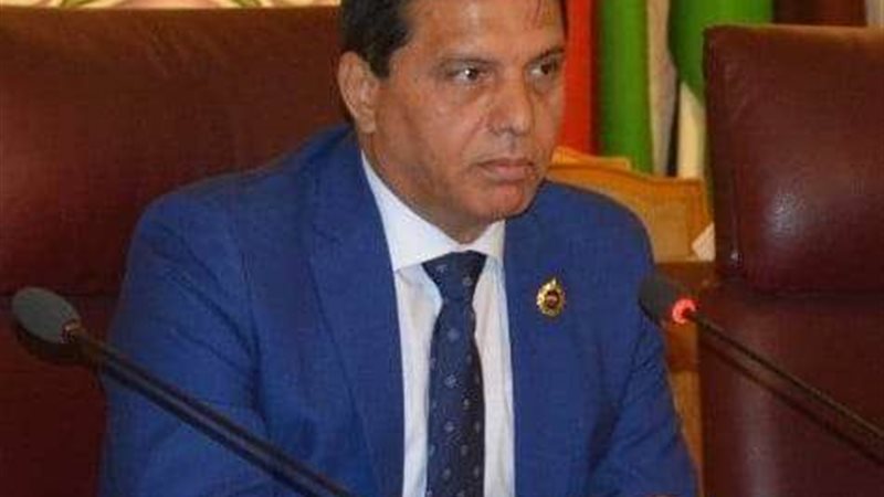 النائب اللواء طارق