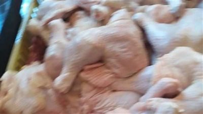 ضبط أطنان شاورمة دجاج 