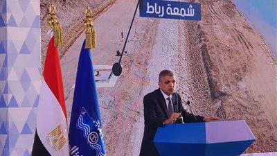 رئيس قناة السويس يحذر من شائعات تطال المشروعات القومية
