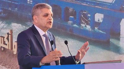 الفريق أسامة ربيع يتحدث عن جهود الدولة المصرية بقطاعات قناة السويس