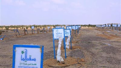 إطلاق مبادرة نخيل الخير بوادي النطرون لزراعة ٤ الاف نخلة