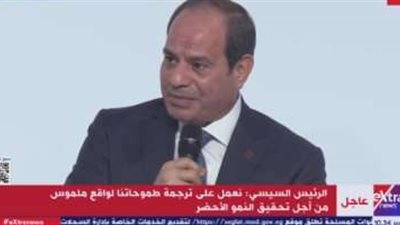 السيسى: لدينا برنامج تحول للطاقة الجديدة حتى 2030