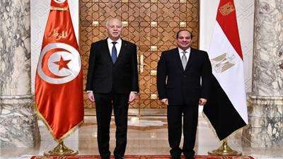 السيسي يستقبل الرئيس التونسي على هامش انعقاد قمة 