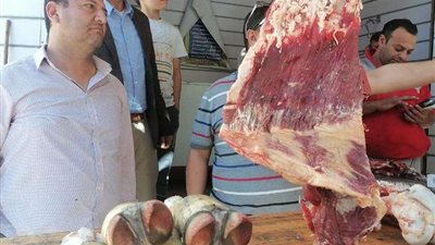 تكثيف الرقابة والحملات التموينية في الإسماعيلية