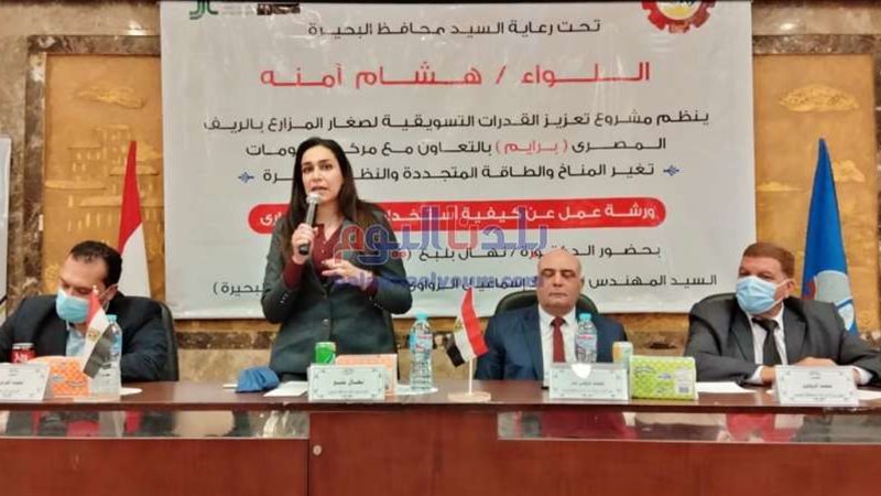 بلدنا اليوم