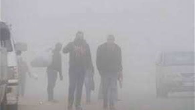 إصابة 4 أشخاص فى مشاجرة بالأسلحة البيضاء بالقليوبية