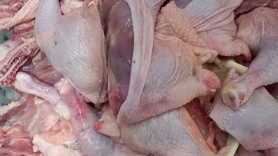 ضبط 3 طن أسماك غير صالحة للاستهلاك الأدمي بالقليوبية