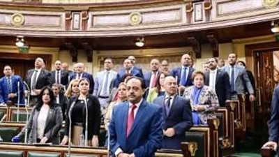 شروط حيازة الحيوانات الخطرة والكلاب وفقًا للقانون الجديد