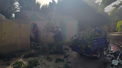 مقابر المنوفية في عيون الأهالى.. حملات مكبرة للتنظيف وتمهيد الطرق وتزويد الإنارة