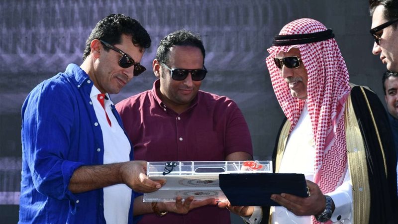 بطولة الطاولة والدومينو