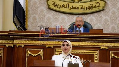 برلمانية: عدم وجود موارد مالية يشكل عائقًا كبيرًا أمام قصور الثقافة