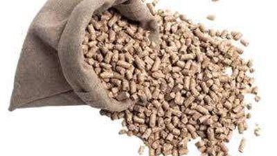 أسعار الأعلاف اليوم، تراجع سعر طن الذرة الصفراء 200 جنيه في الأسواق