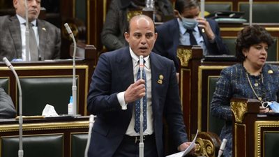 عمرو القطامي: ملف الاستثمار بحاجة إلى دماء وقوانين جديدة لمواكبة جهود الدولة