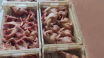 محافظ المنوفية يطالب بتكثيف الرقابة والتفتيش لضبط الأسواق