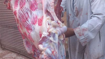 استمرار فتح منافذ بيع اللحوم والأضاحى بأسعار مخفضة في قرى ومراكز المحافظة