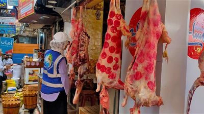 تكثيف الحملات التوعوية بمخلفات الأضاحي في الإسكندرية قبل حلول عيد الأضحى