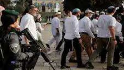 سياسي فلسطيني: نواجه إرهابا يتمثل في اعتداءات المستوطنين