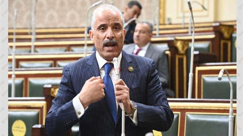 النائب عيد حماد