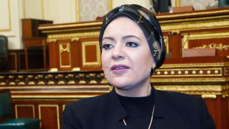 النائبة ريهام عبد