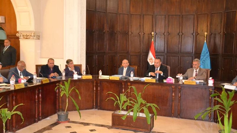 مجلس جامعة الاسكندرية