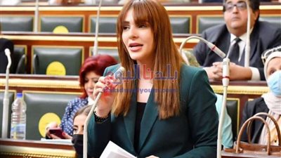 تحرك برلماني بشأن تكرار أزمة تذاكر قطارات الصعيد