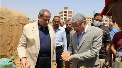 شون وصوامع المنيا تستقبل 466 ألف طن من القمح بجميع المراكز
