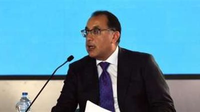 مجلس الوزراء يوافق على تخصيص 700 فدان بمحافظة المنيا لإقامة غابات شجرية