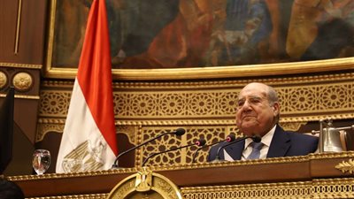 مجلس الشيوخ يقر 4 توصيات في مجال الشباب والرياضة