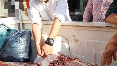 ضبط 2000 كيلو لحوم منتهية الصلاحية بالمنوفية