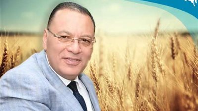 توريد 370 طن قمح لصوامع وشون الشرقية