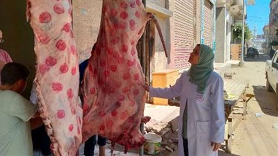 ضبط لحوم ودجاج غير صالحة للاستخدام الآدمي بالشرقية