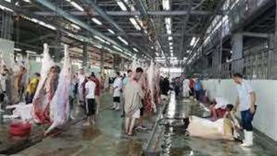 «المجزر الآلي بالبساتين»: نستعد لاستقبال الأضاحي بداية من الساعة 1 ظهرًا