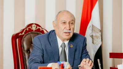 النائب أحمد عثمان: ثورة 30 يونيو حافظت على الهوية المصرية وانتصرت على التطرف